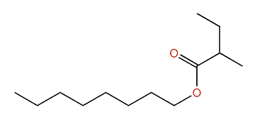 Octyl-2-methylbutanoate
